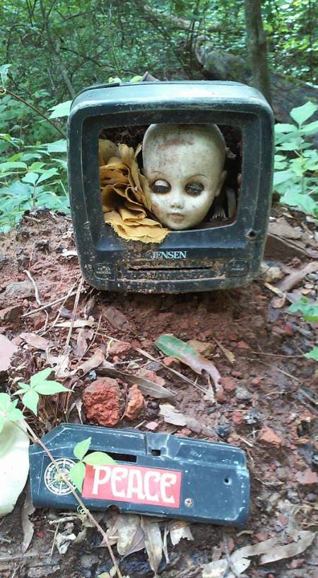 11401374_10102153333579267_3583586418205633092_n